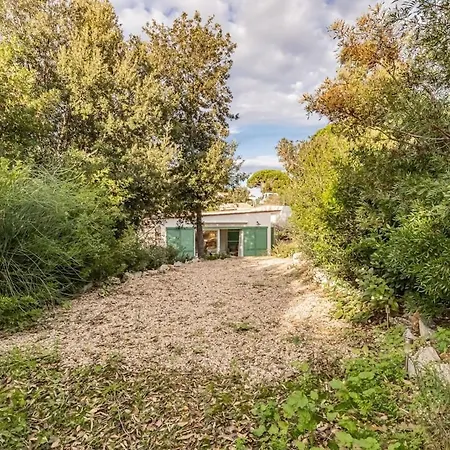 Apartment Mare Di Spartaia Procchio (Isola d'Elba)